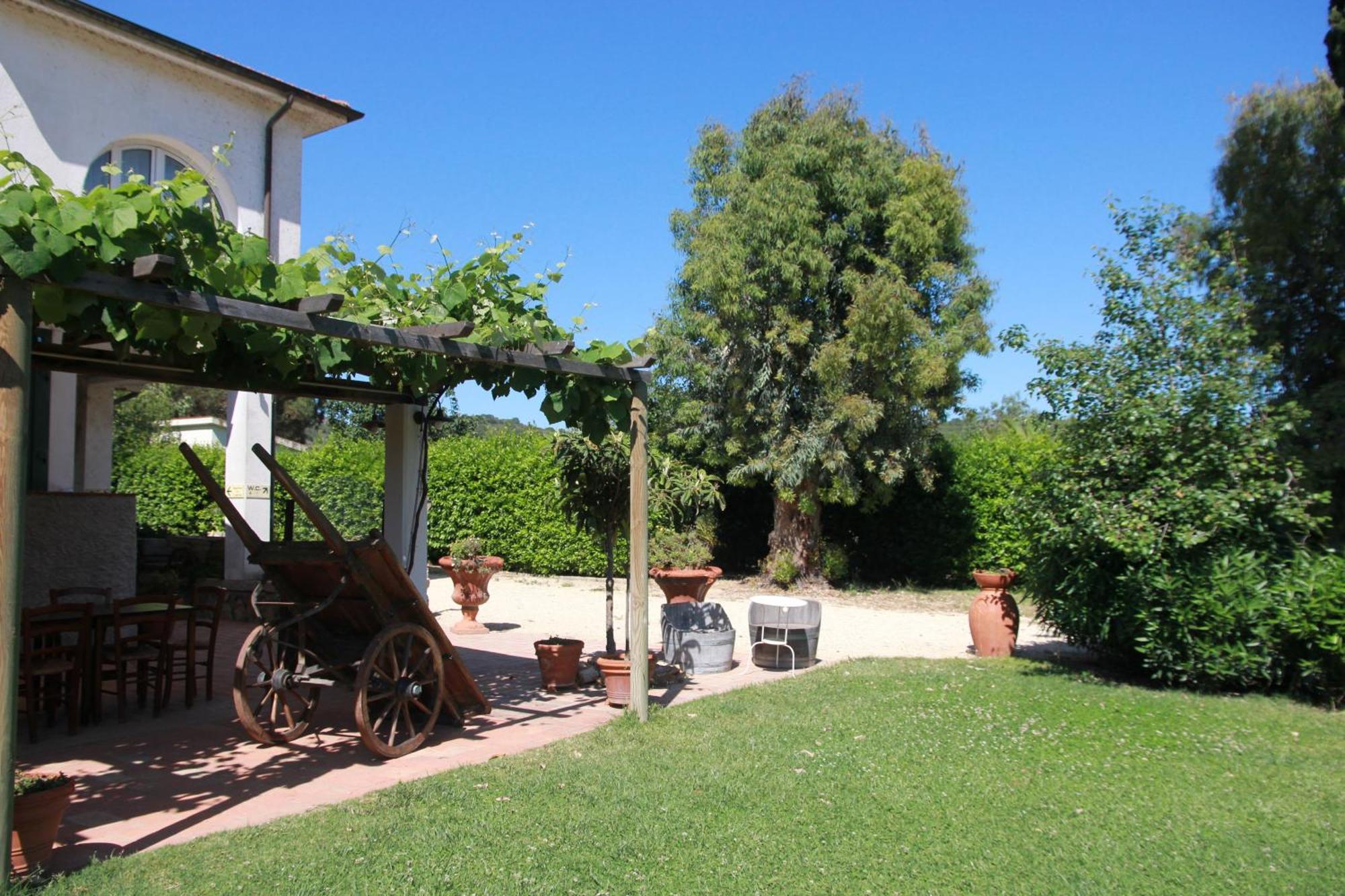 Azienda Agricola Sapereta