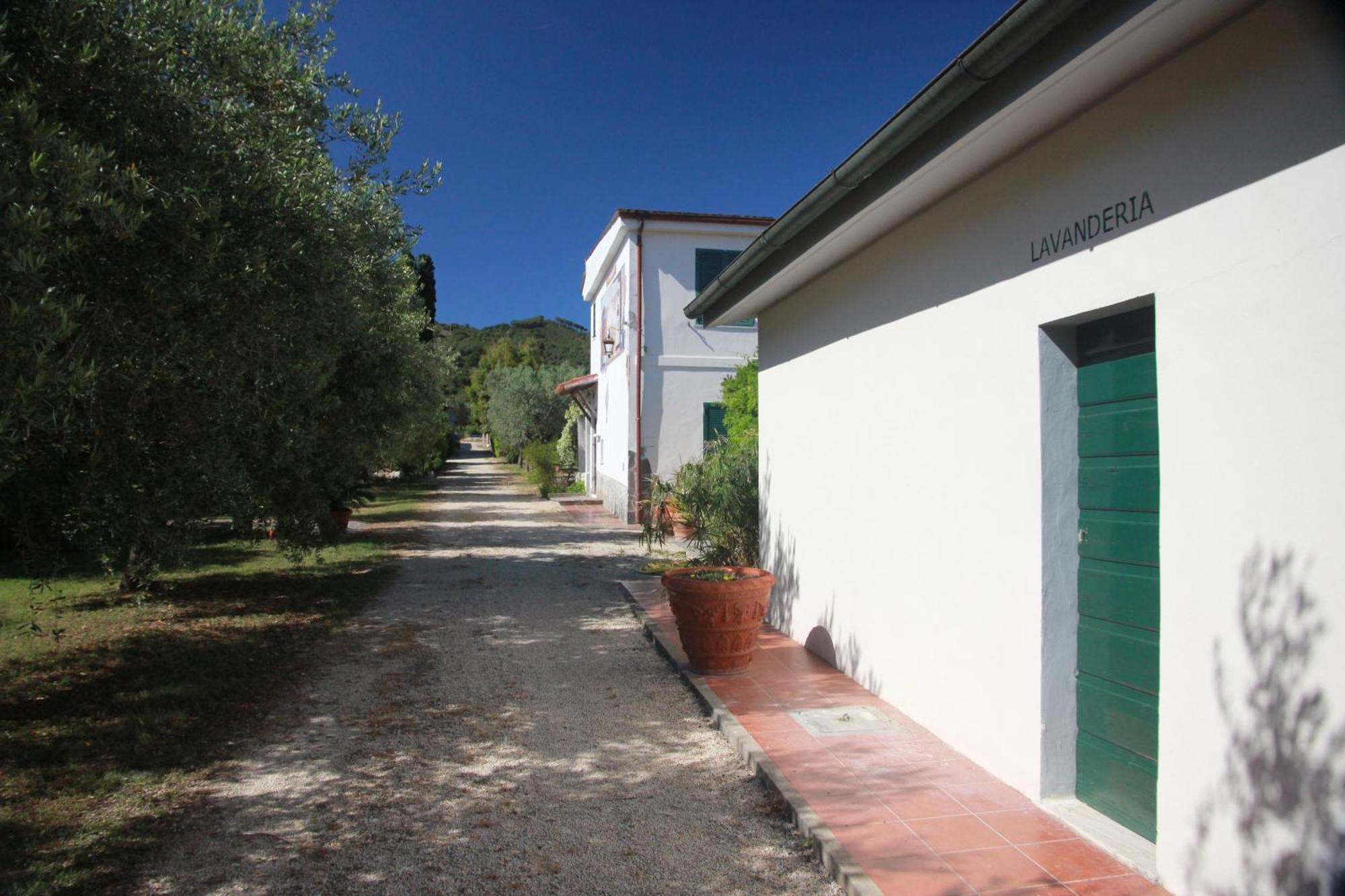 Azienda Agricola Sapereta *