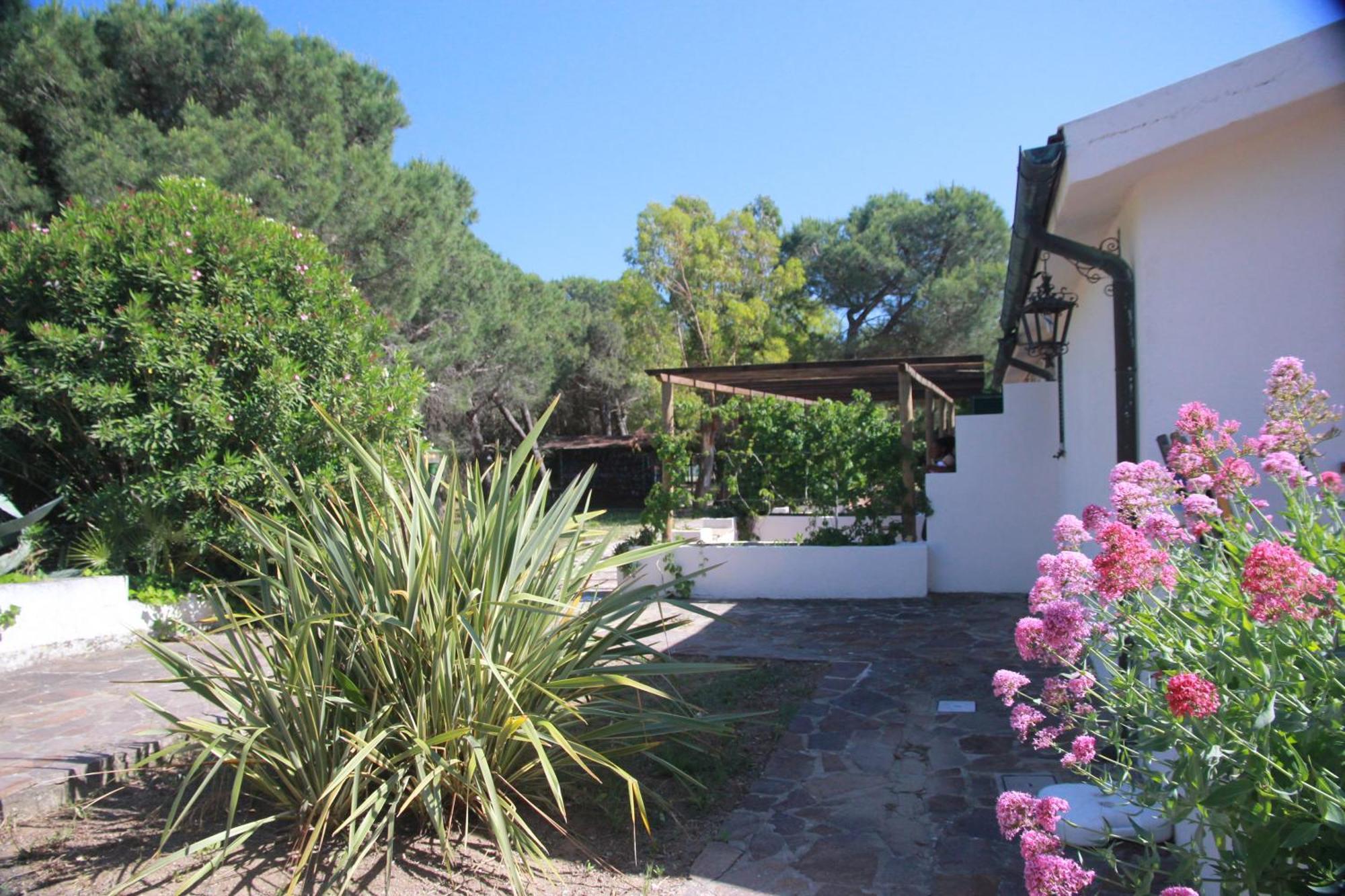 Azienda Agricola Sapereta Bauernhof Porto Azzurro