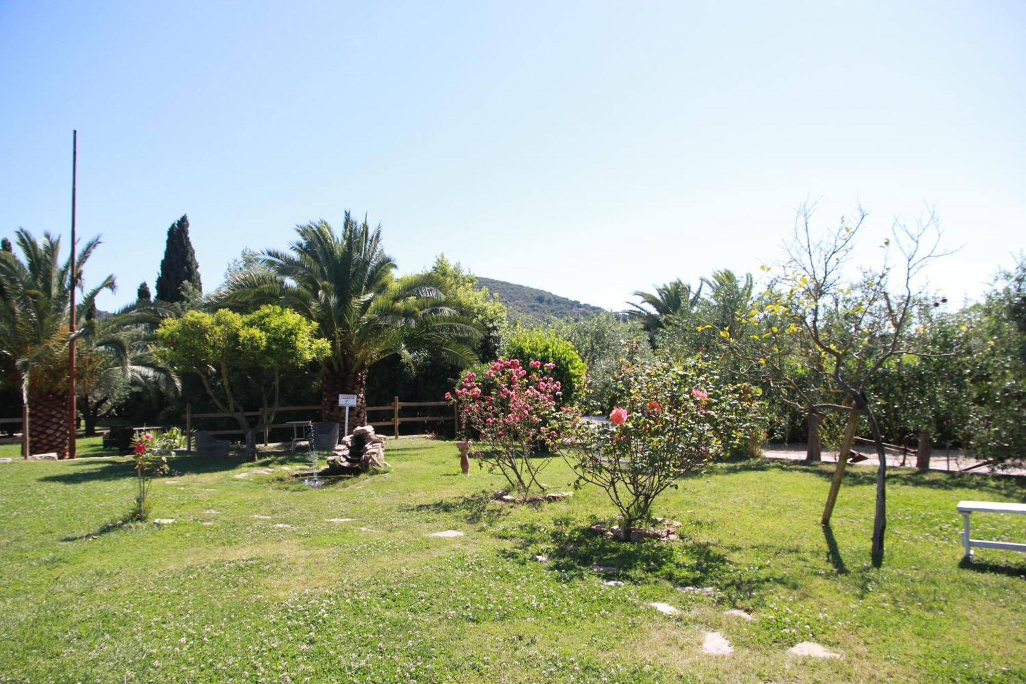 Azienda Agricola Sapereta