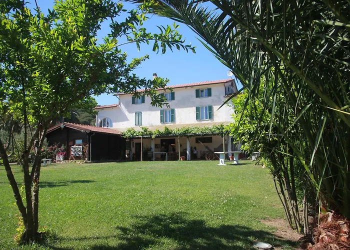 Azienda Agricola Sapereta