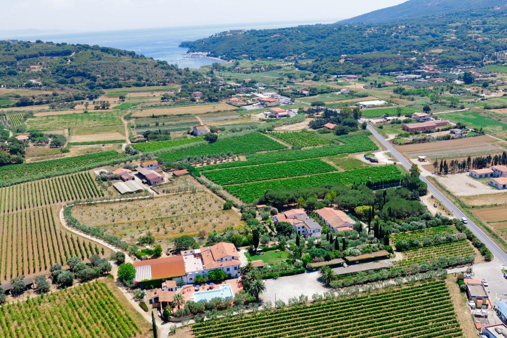 Azienda Agricola Sapereta *