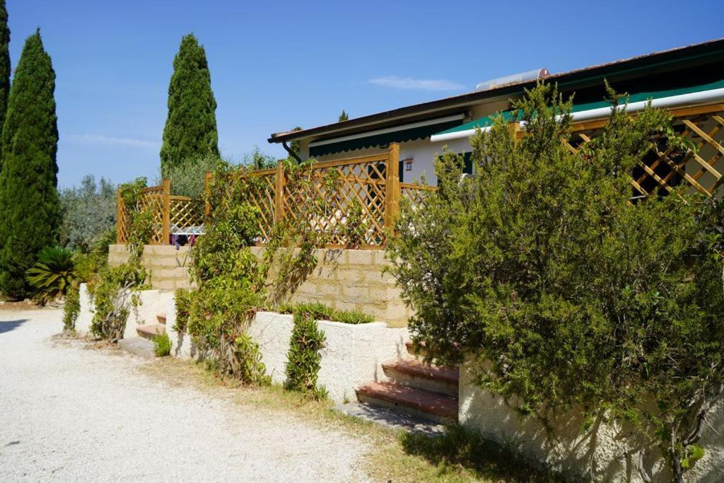 Azienda Agricola Sapereta * Porto Azzurro